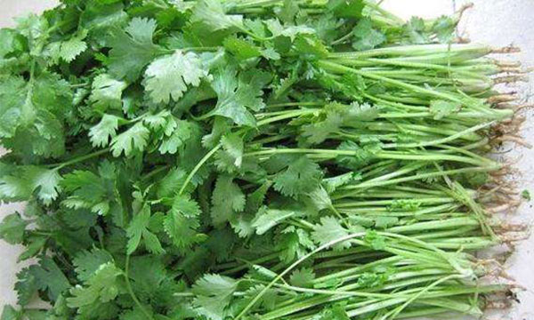 ��˵Ĺ�Ч������ ��˸��˴�����ЩӪ����ֵ